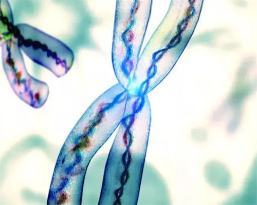 浙江供卵公司费用,金华婺城区试管婴儿需要多少钱？金华哪里做试管婴儿最好