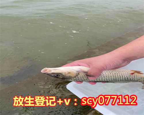 郑州哪里可以放生动物，娃娃鱼现身郑州污水处理厂可能是市民放生