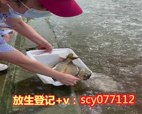 广州适合放生鱼的公园，广州华严寺举行建寺二十周年庆典