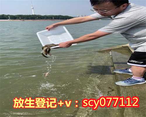 柳州晚上能放生吗,柳州哪个公园能放生虾啊,柳州人工饲养的鲫鱼放生能活吗