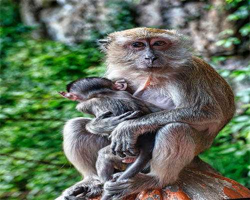 广东省供卵试管费用多少一次